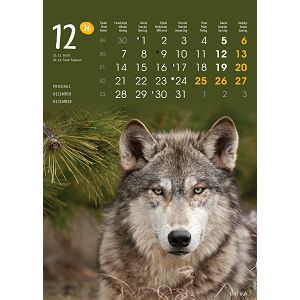 zidni-kalendar-zivotinje-13-listova-24x535-cm-50337-1131_263810.jpg