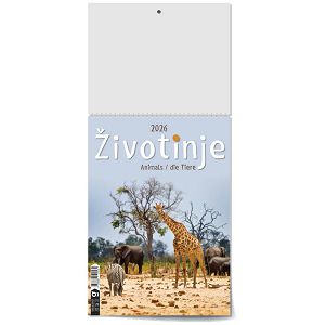zidni-kalendar-zivotinje-13-listova-24x535-cm-50337-1131_263811.jpg