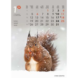 zidni-kalendar-zivotinje-13-listova-24x535-cm-color-tisak-9047-ja0011310_265378.jpg
