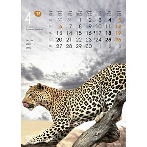 zidni-kalendar-zivotinje-13-listova-24x535-cm-color-tisak-9047-ja0011310_265383.jpg