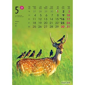 zidni-kalendar-zivotinje-13-listova-24x535-cm-color-tisak-9047-ja0011310_265384.jpg