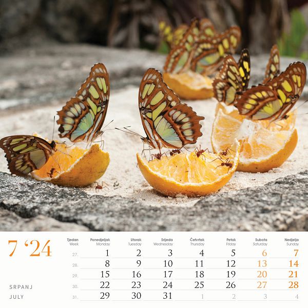 Kalendar color "Čari prirode"