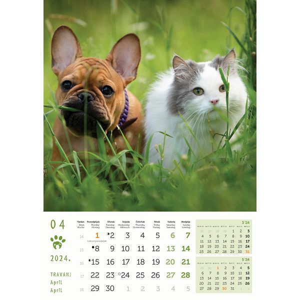 Kalendar color "Psi i mačke "