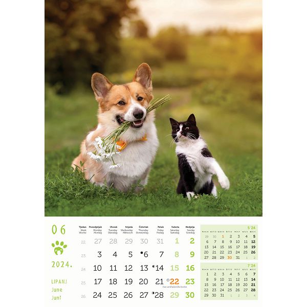 Kalendar color "Psi i mačke "