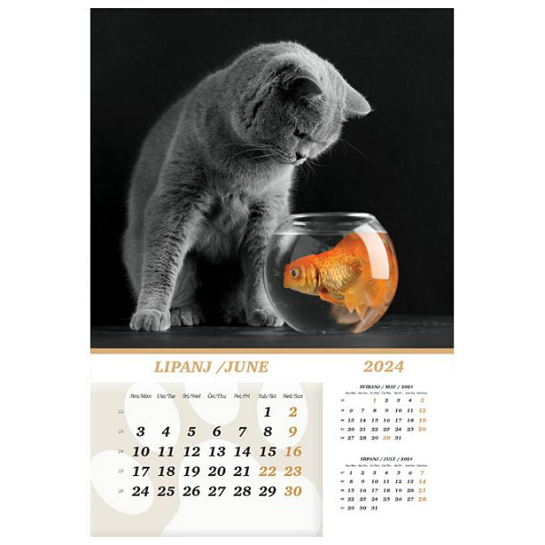 Kalendar "Kućni ljubimci 2024" 13 listova, spirala