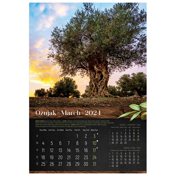 Kalendar "Masline 2024" 13 listova, spirala