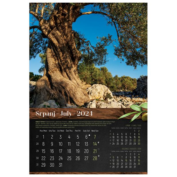 Kalendar "Masline 2024" 13 listova, spirala