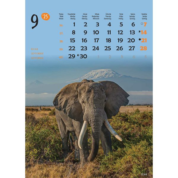 Kalendar "Životinje"  za 2025 g.