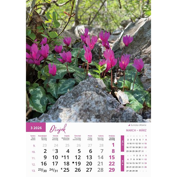 Zidni kalendar Priroda – 13 listova, 30,5×50 cm