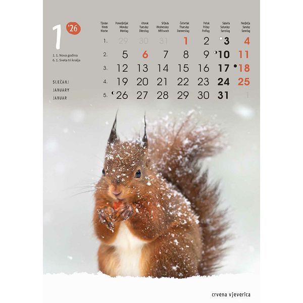 Zidni kalendar Životinje – 13 listova, 24×53,5 cm
