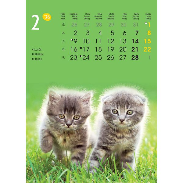 Zidni kalendar Životinje – 13 listova, 24×53,5 cm