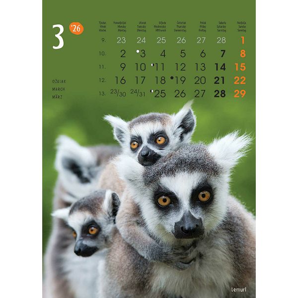Zidni kalendar Životinje – 13 listova, 24×53,5 cm