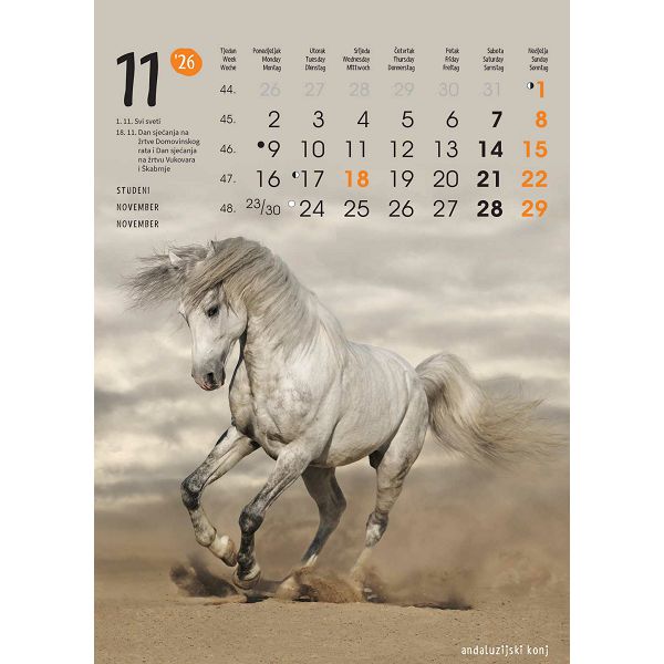 Zidni kalendar Životinje – 13 listova, 24×53,5 cm